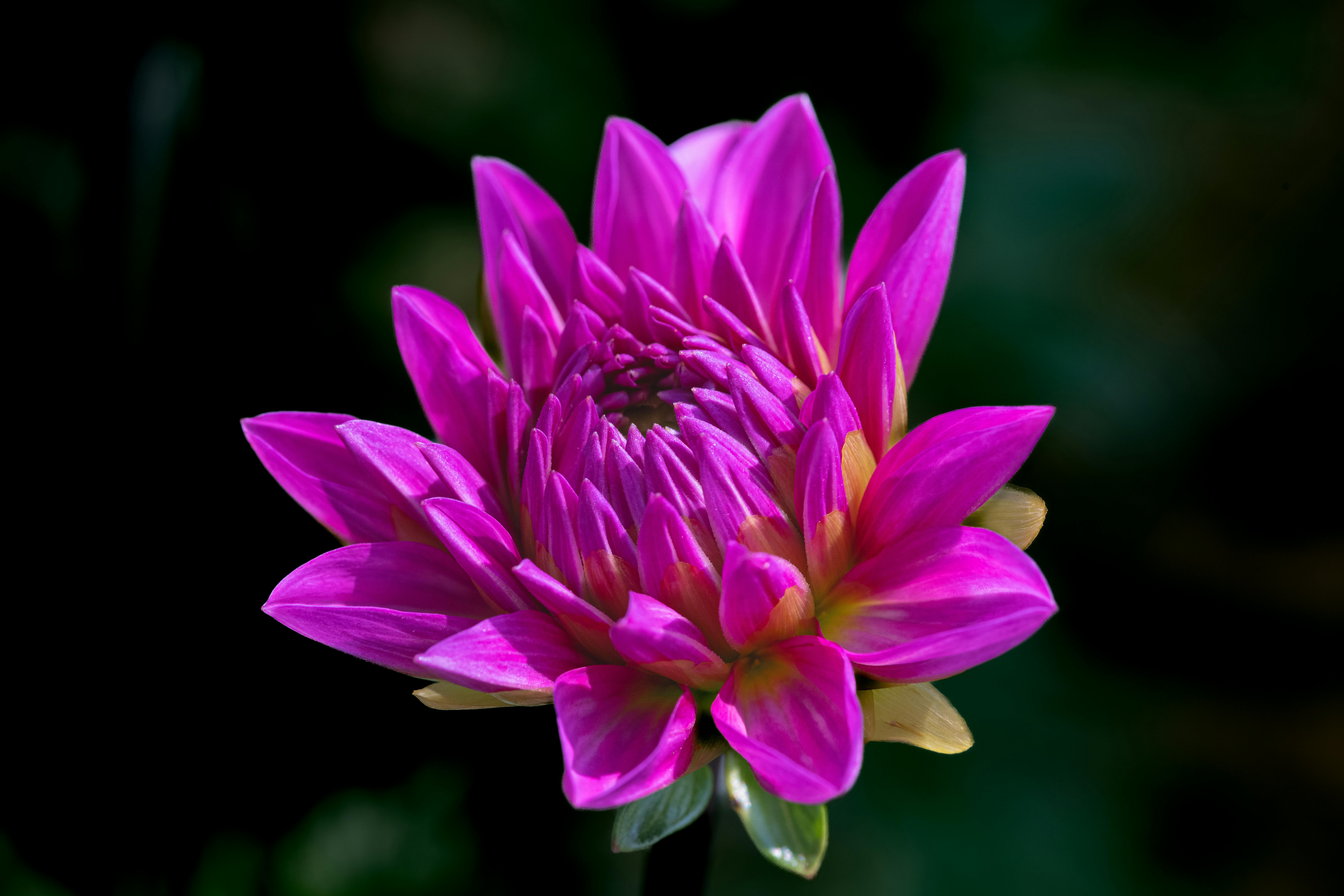 打造舒適生活：10個簡單步驟提升居家幸福感