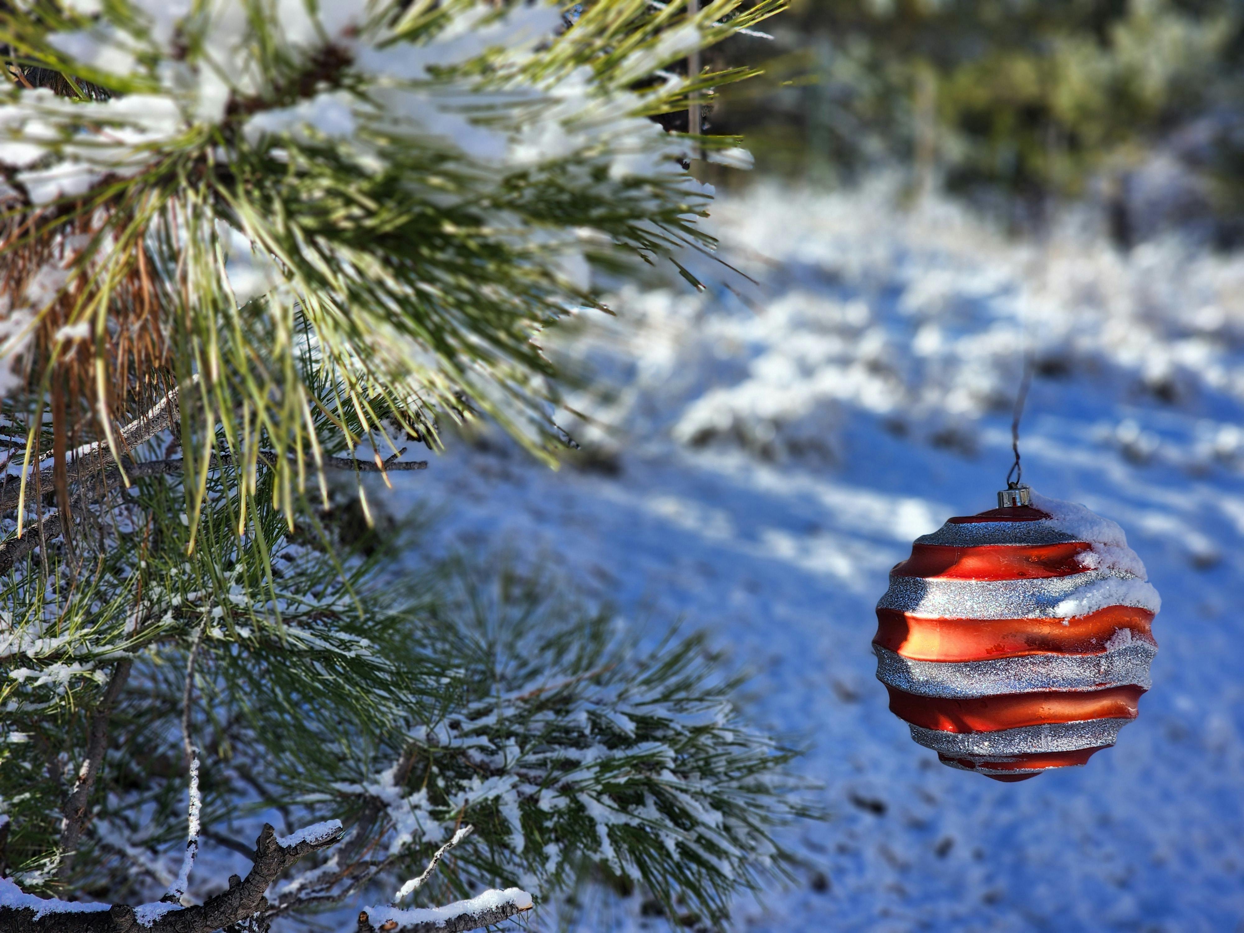 國際：白銀價格飆升逼近歷史高點 美就業數據疲軟助推降息預期