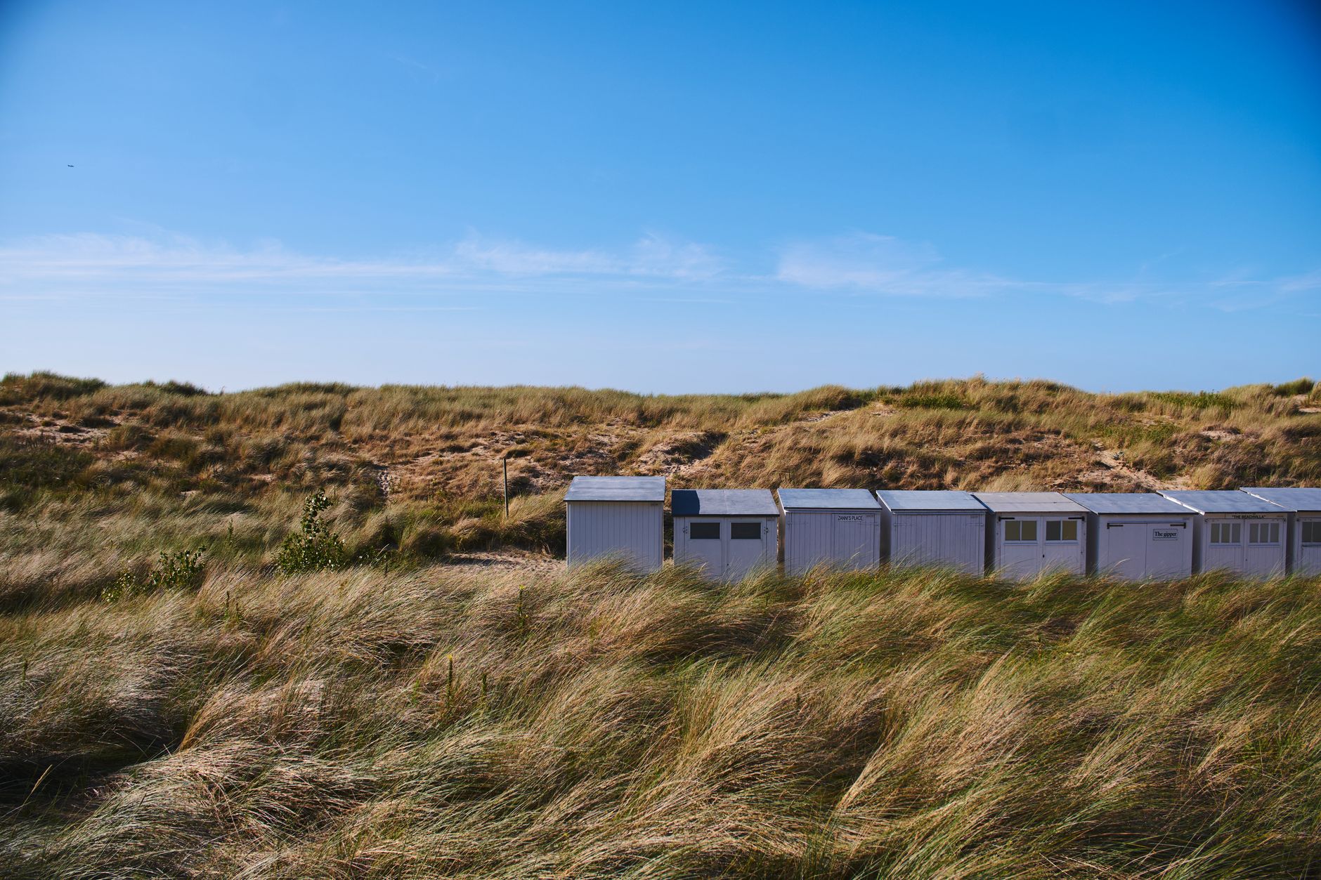 Weathered shingle beach cottage at golden hour with dune grass