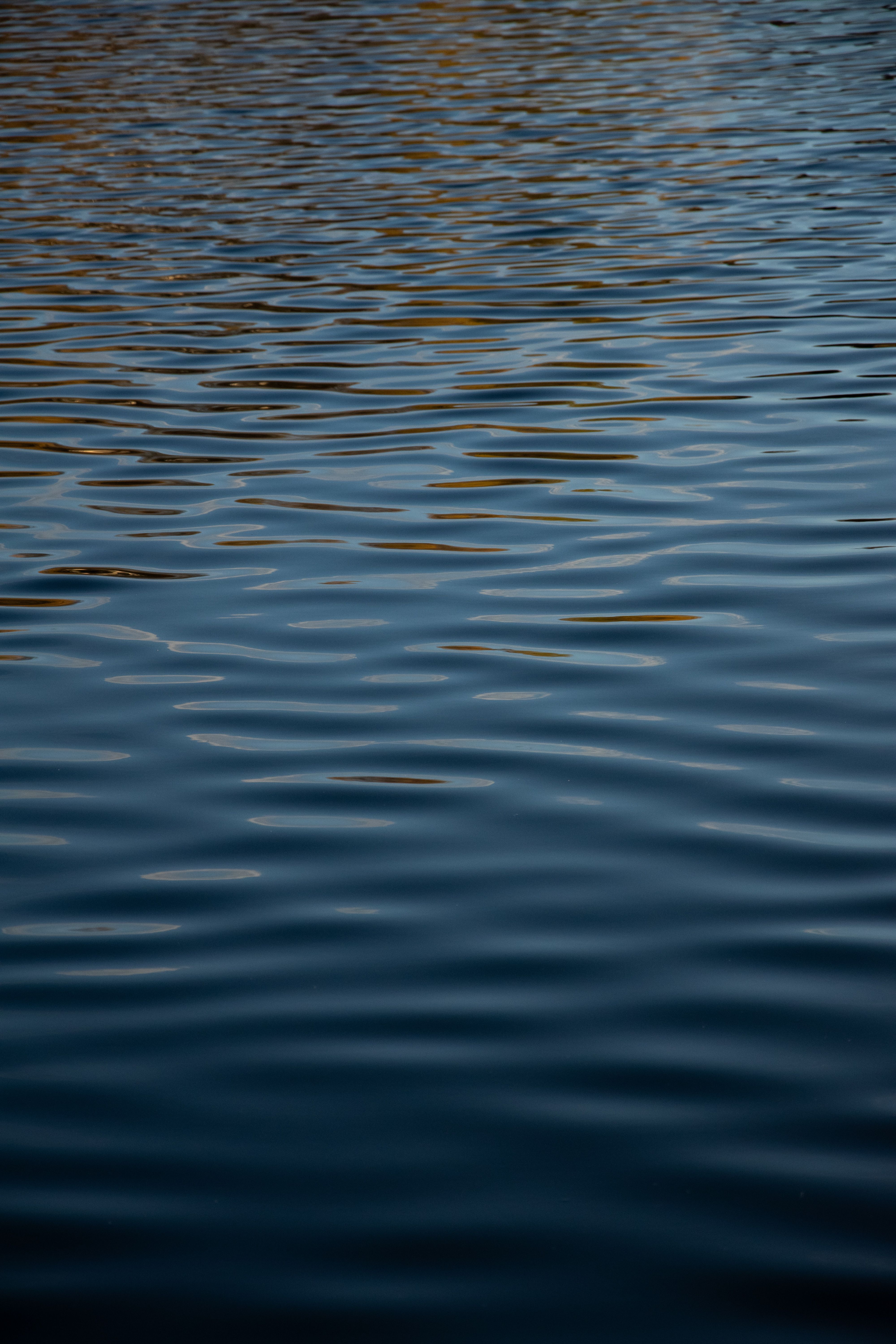 Peaceful Water Surface with Gentle Ripples · Free Stock Photo