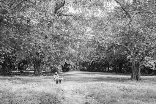 Black and white image of a senior in a peaceful park setting with trees.