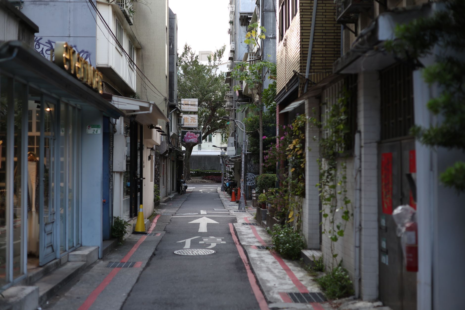 台北散步的儀式感:分手後重建自我、情緒穩定與城市路線設計 image of a serene urban path in Taipei