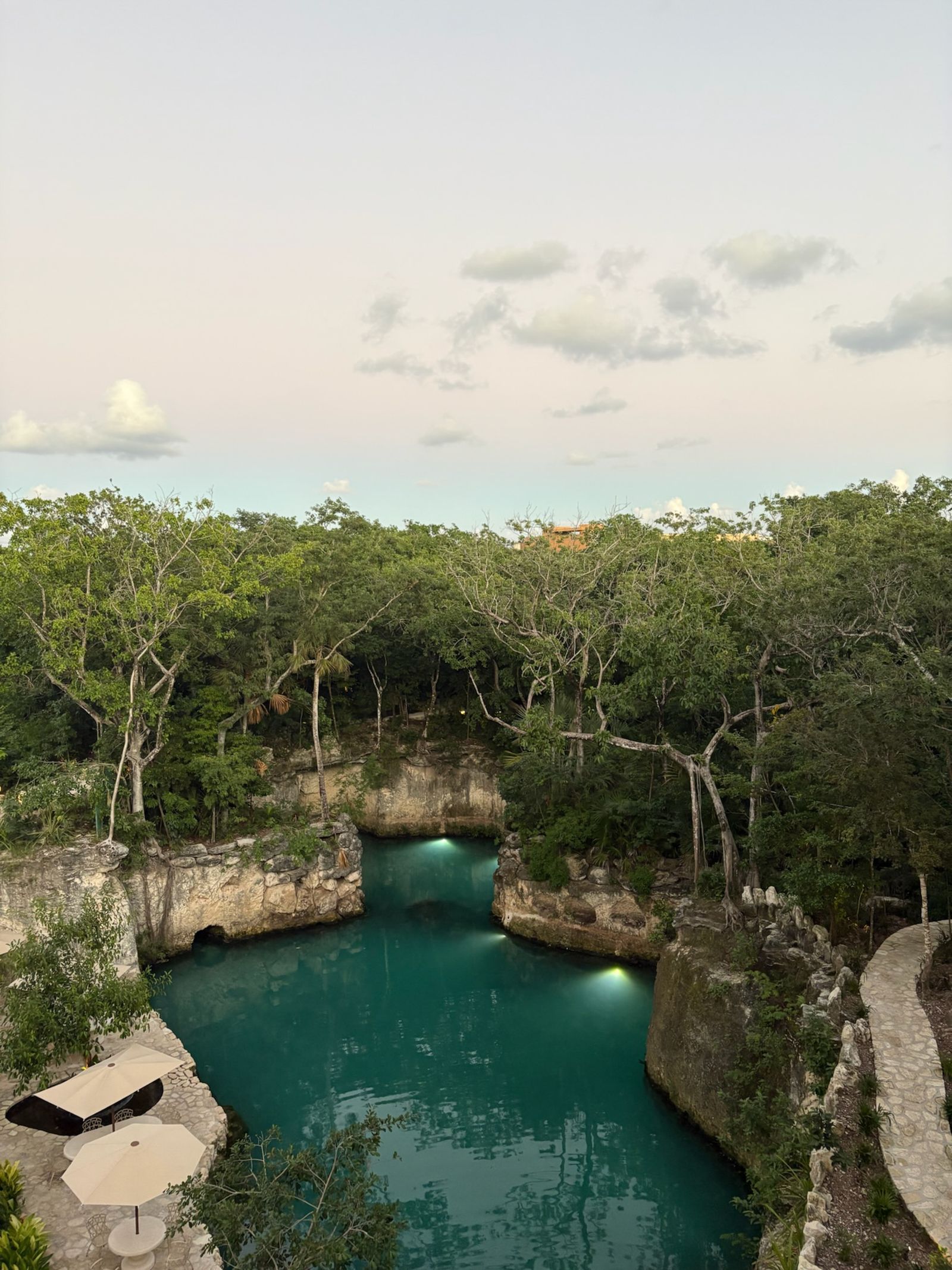 A jungle cenote surrounded by lush green limestone walls near Tulum