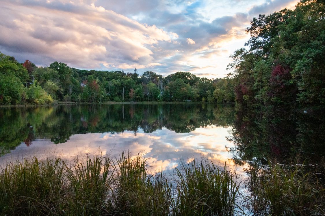 Serene Lake Landscape at Dusk with Reflection · Free Stock Photo