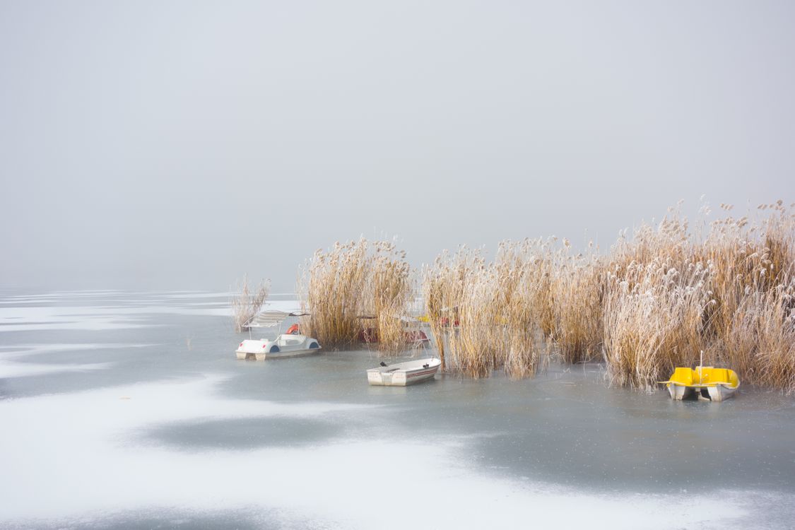 Frozen Lake with Boats and Reeds in Winter · Free Stock Photo