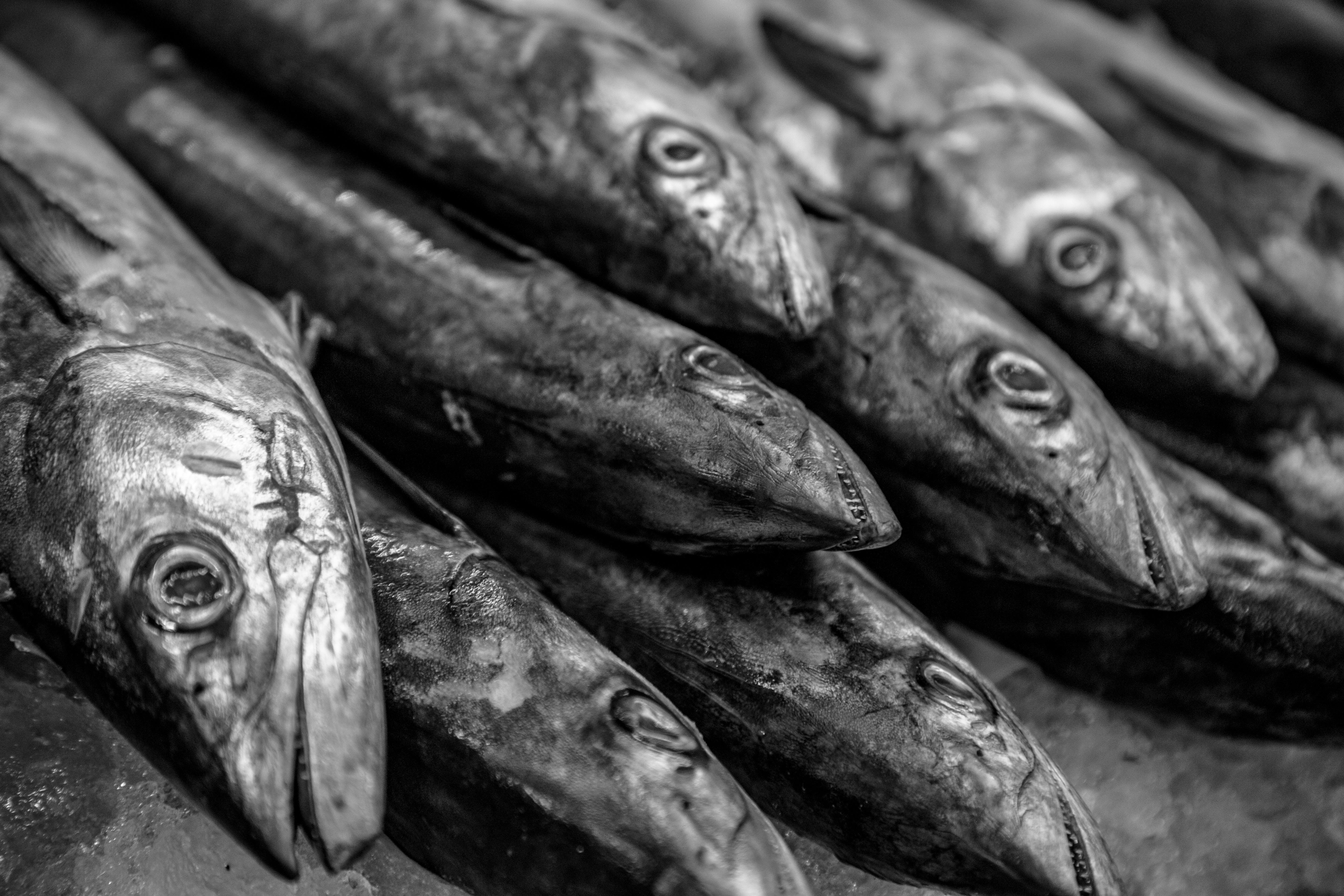 國際：白銀價格飆升逼近歷史高點 美就業數據疲軟助推降息預期