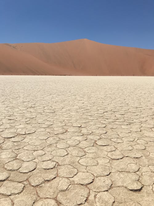 Gratis arkivbilde med ørken, sand
