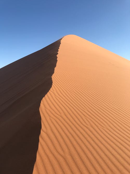 青い空の下の砂漠