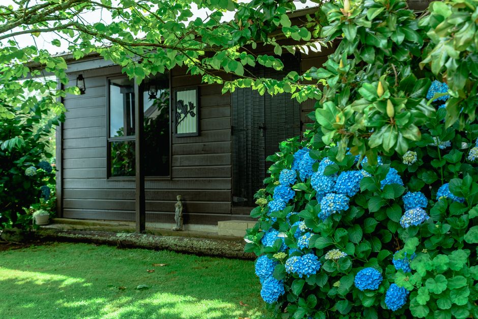 New Zealand home renovation