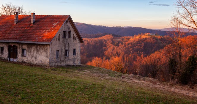 Free stock photo of abandoned cottage, autumn trees, backlit