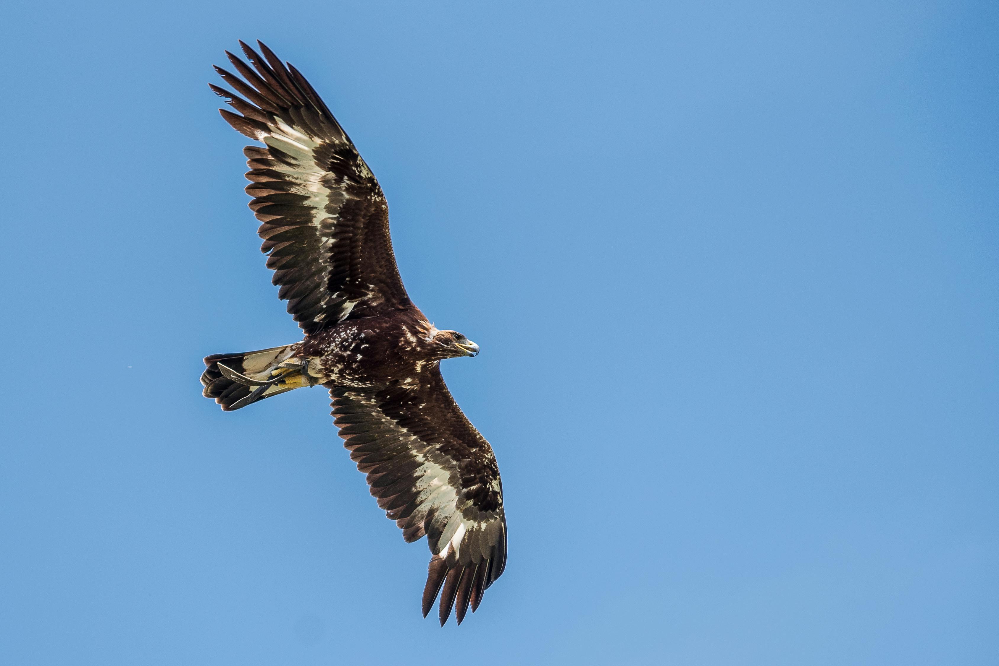 國際：全球經濟復甦面臨挑戰，各國政策調整備受關注