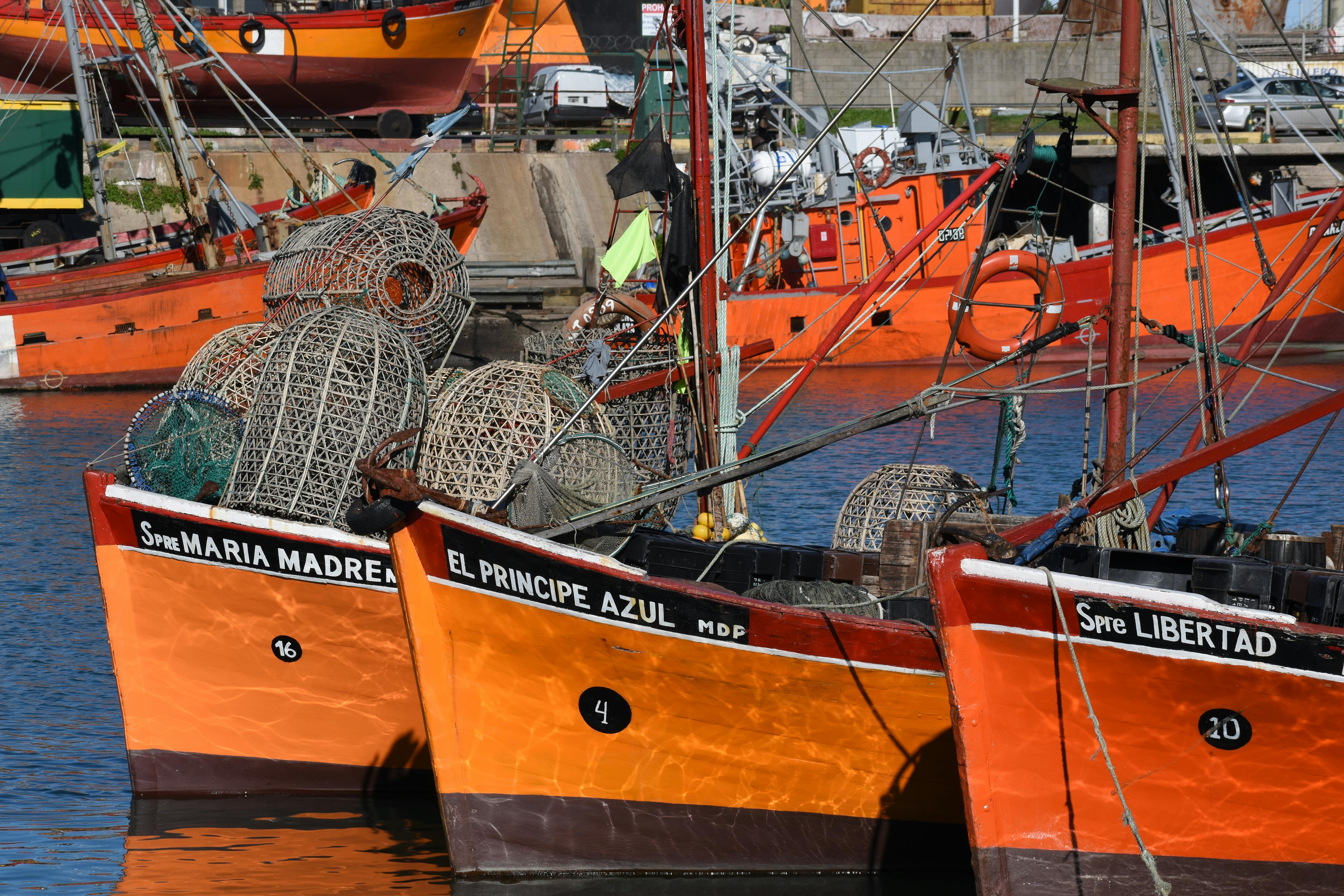 新北國際AI+智慧園區二度招商 鎖定AI製造大廠釋出林口5筆精華地