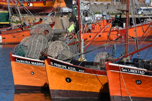 Bright orange fishing boats with nets docked at a bustling harbor.