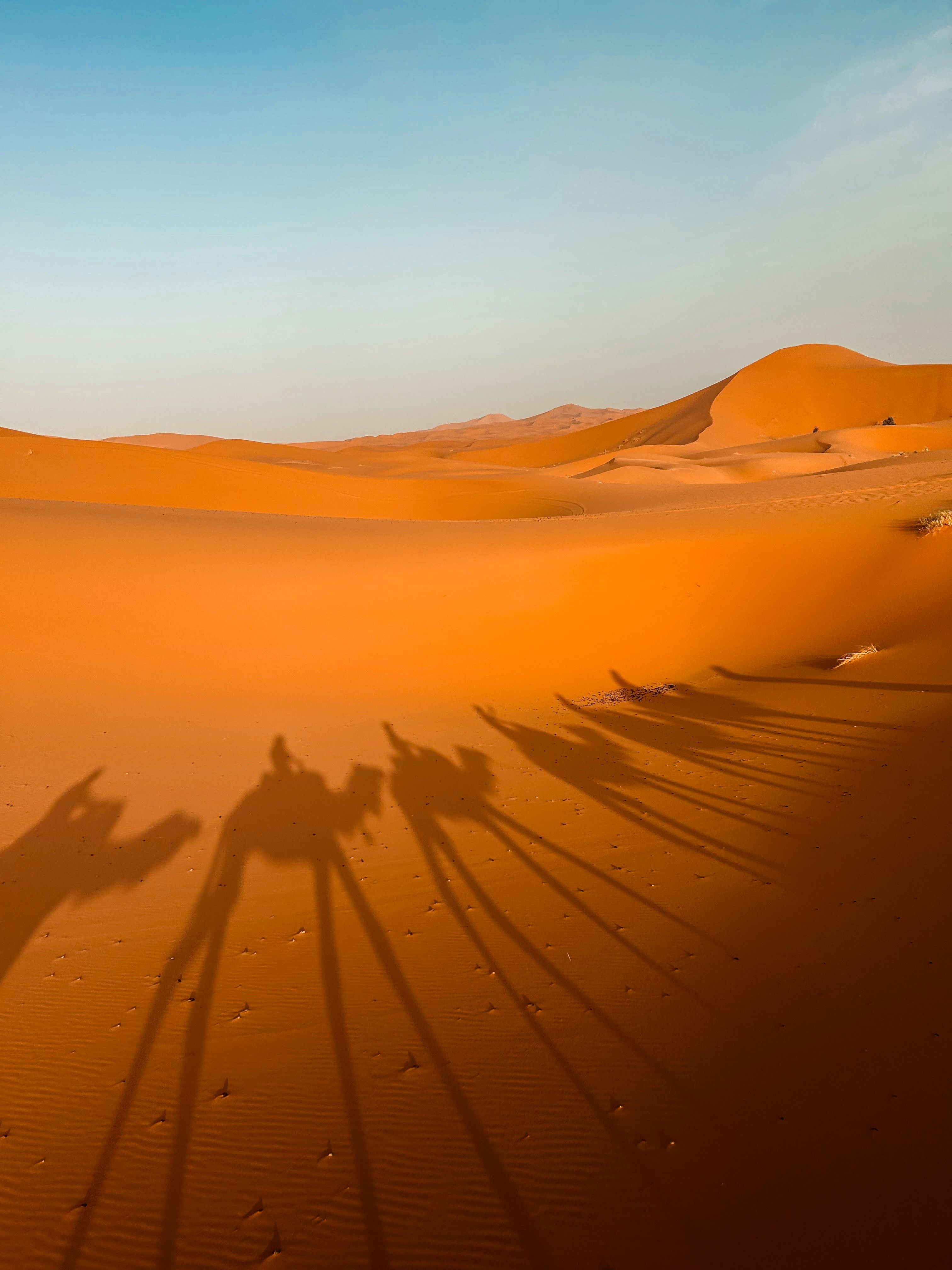 3-Day Fes to Marrakech Desert Tour