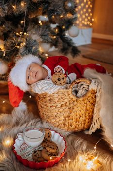 Cute baby in Santa hat sleeps in basket by Christmas tree with cookies and milk.