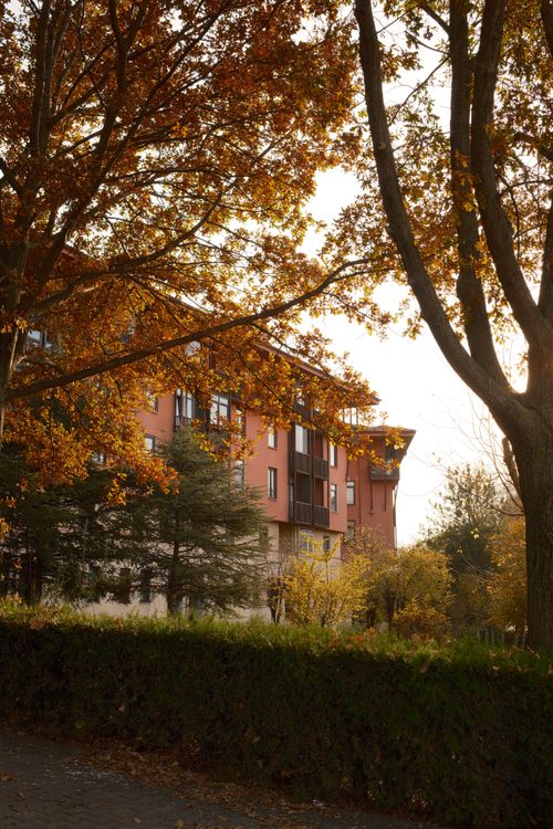 Free Warm autumn scene with a red building surrounded by vibrant fall foliage and sunlight filtering through the trees. Stock Photo