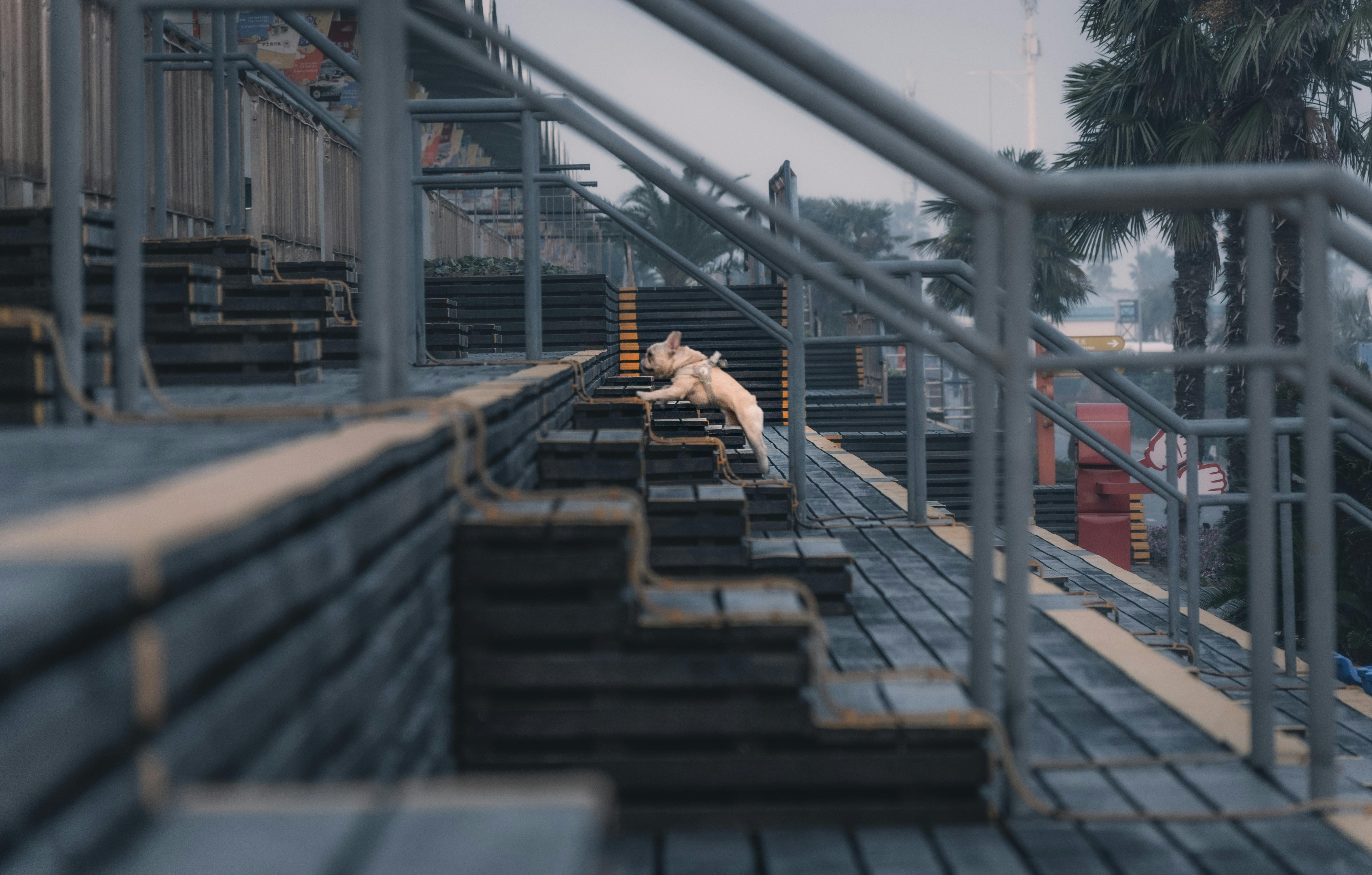 國際足聯公布2026年世界杯完整賽程，精彩對決一覽無遺