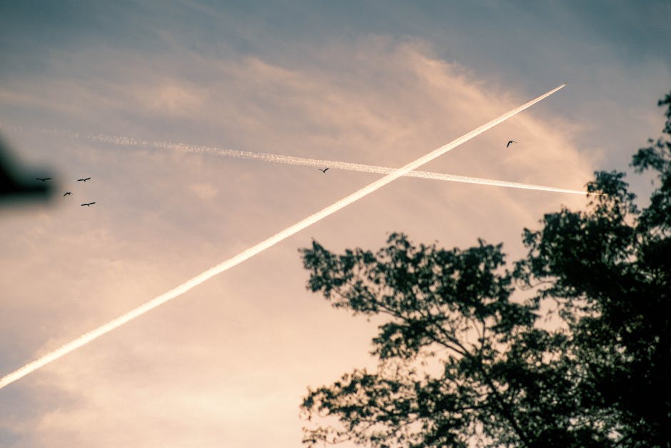 Free stock photo of jetlife, photography, skyporn