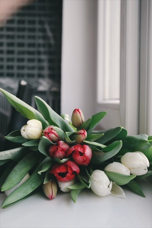 Bouquet De Fleurs De Tulipes Rouges Et Blanches