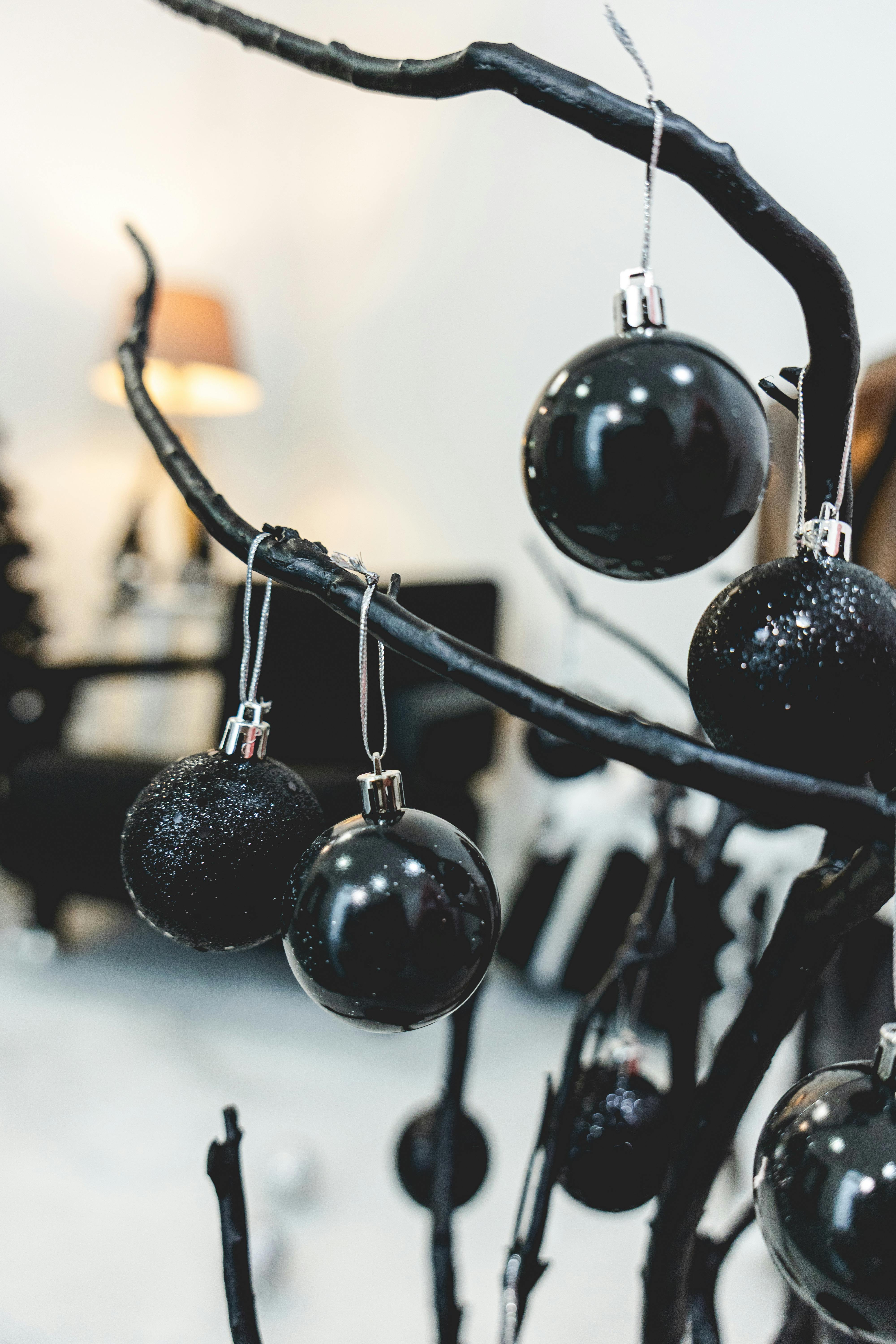 gratis Close-up van zwarte ornamenten op een kale tak, moderne feestdecoratie. Stockfoto