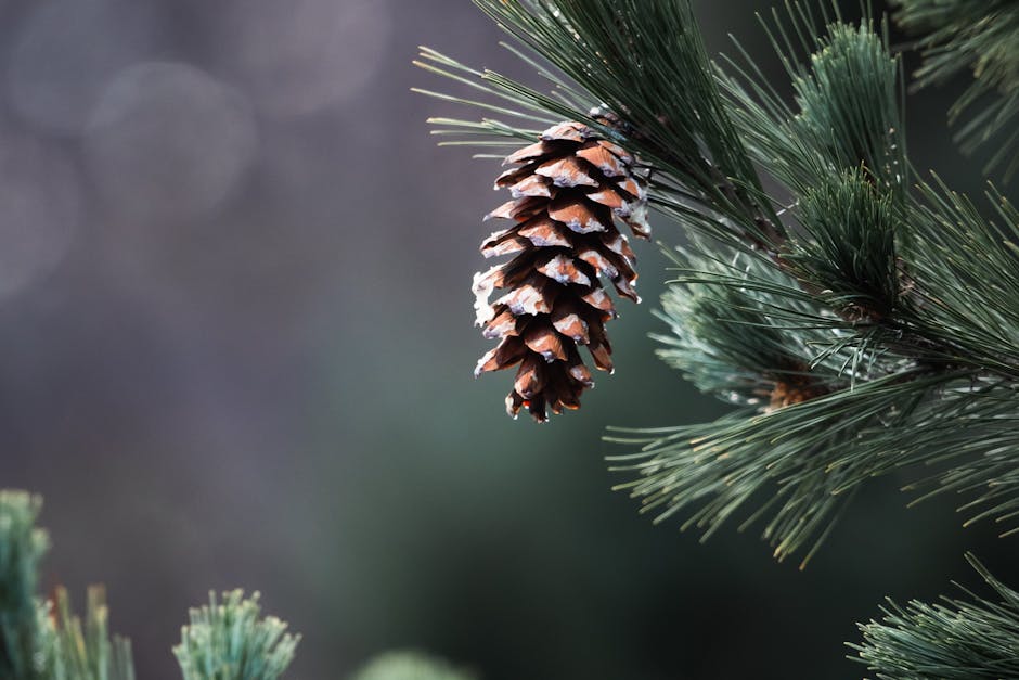 O que está por trás do crescimento da Venezuela em 2025