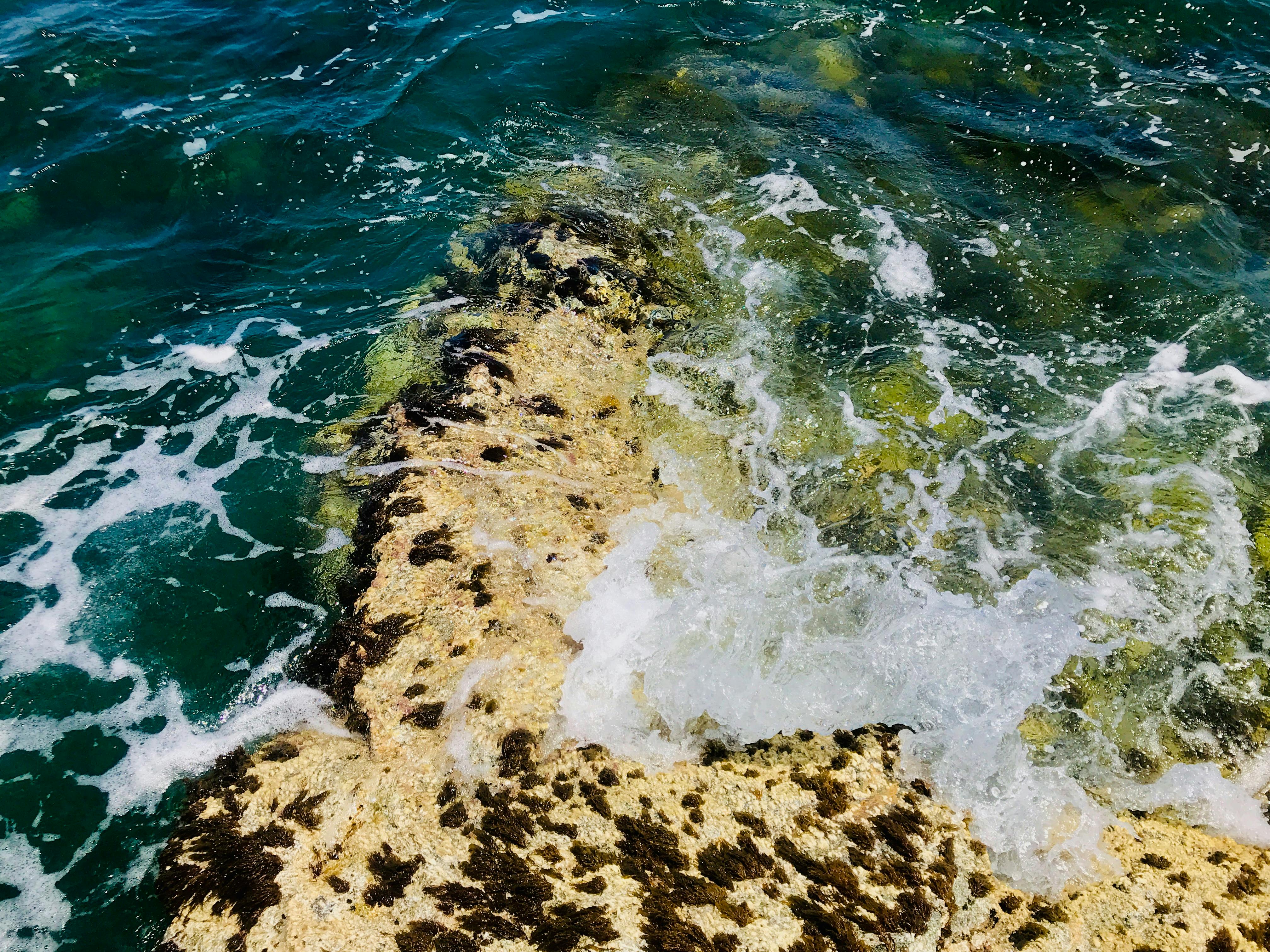 Close-up of a Philippine Lotto ticket with circled draw dates and highlighted numbers, suggesting a strategic analysis of past PCSO results.