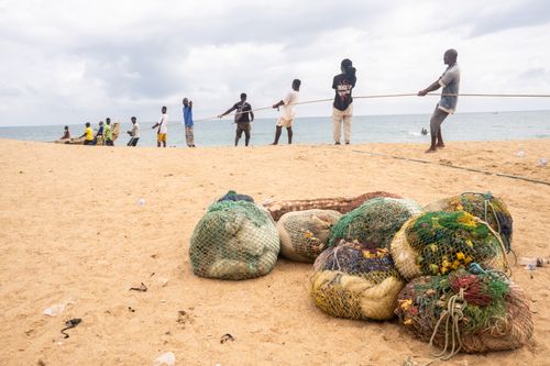 Free A group of African fishermen pulling in nets on a beach in Togo, showcasing traditional sea fishing methods. Stock Photo