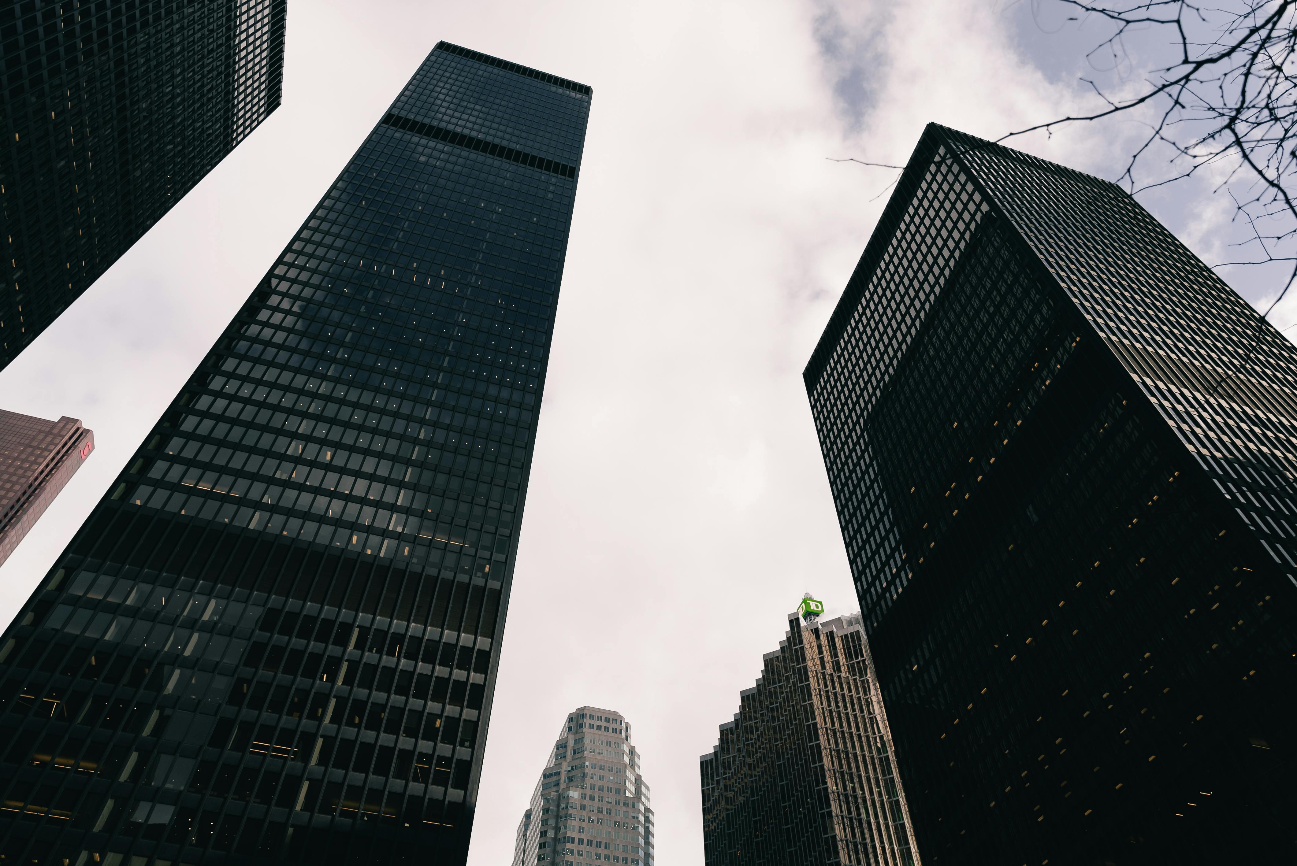 財經：證監會勒令大山教育(09986)停牌 涉嚴重誇大銀行結餘