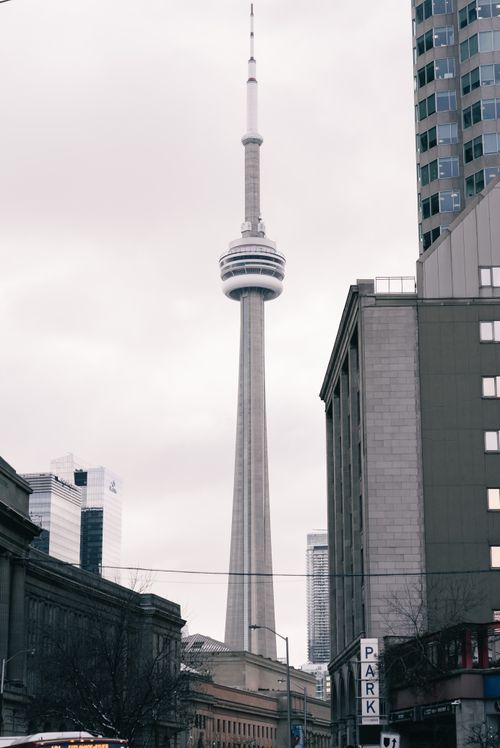 Free View of the iconic CN Tower in Toronto amidst city buildings on a cloudy day, showcasing urban architecture. Stock Photo