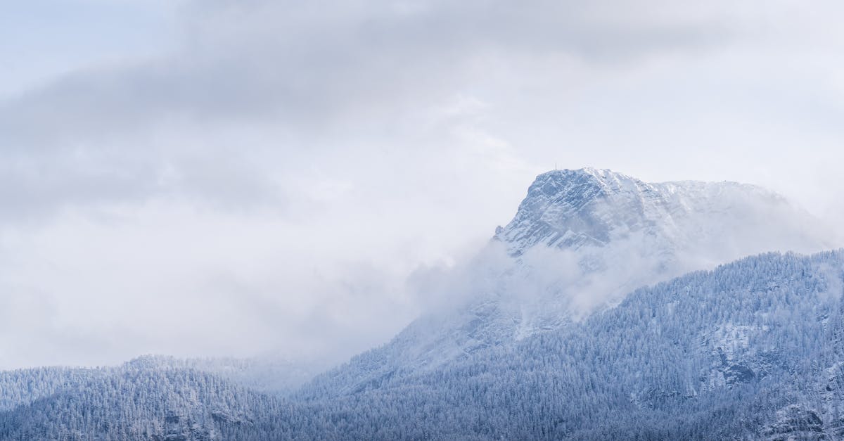 川普獲國際足球總會和平獎 表揚團結與和平貢獻