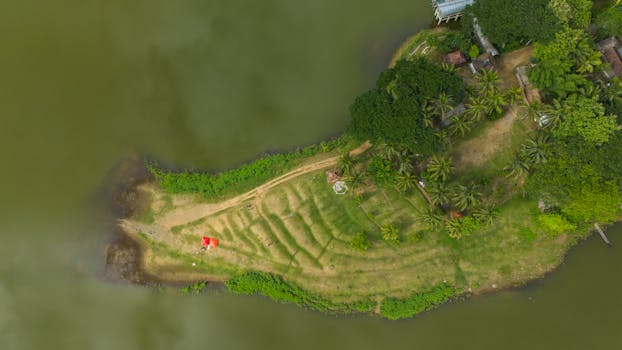 Free stock photo of camping