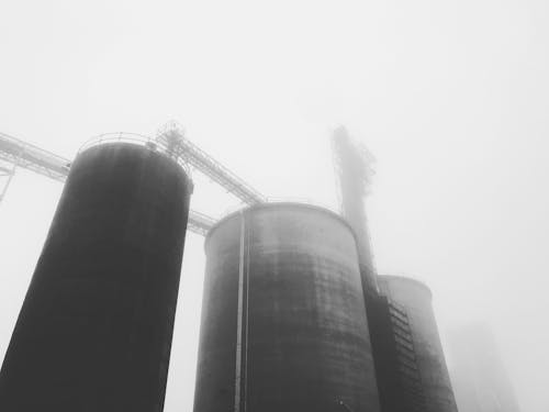 Free stock photo of farm, fog