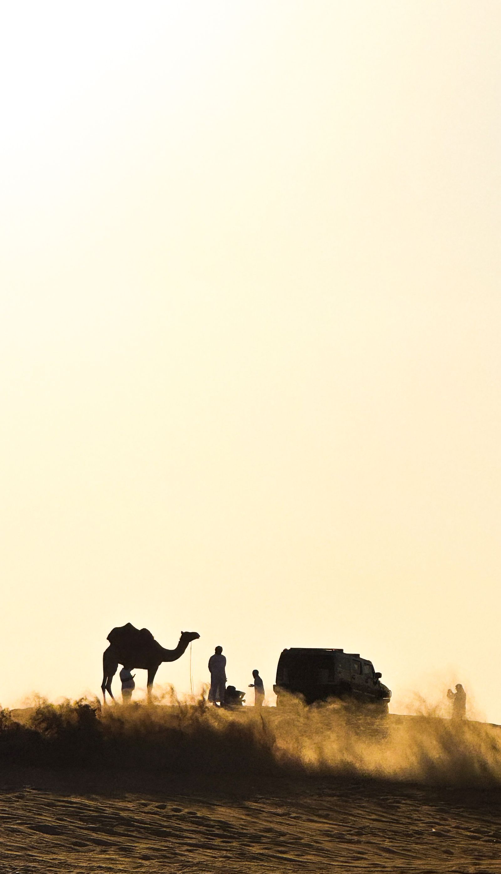 Evening Desert Safari with BBQ Dinner