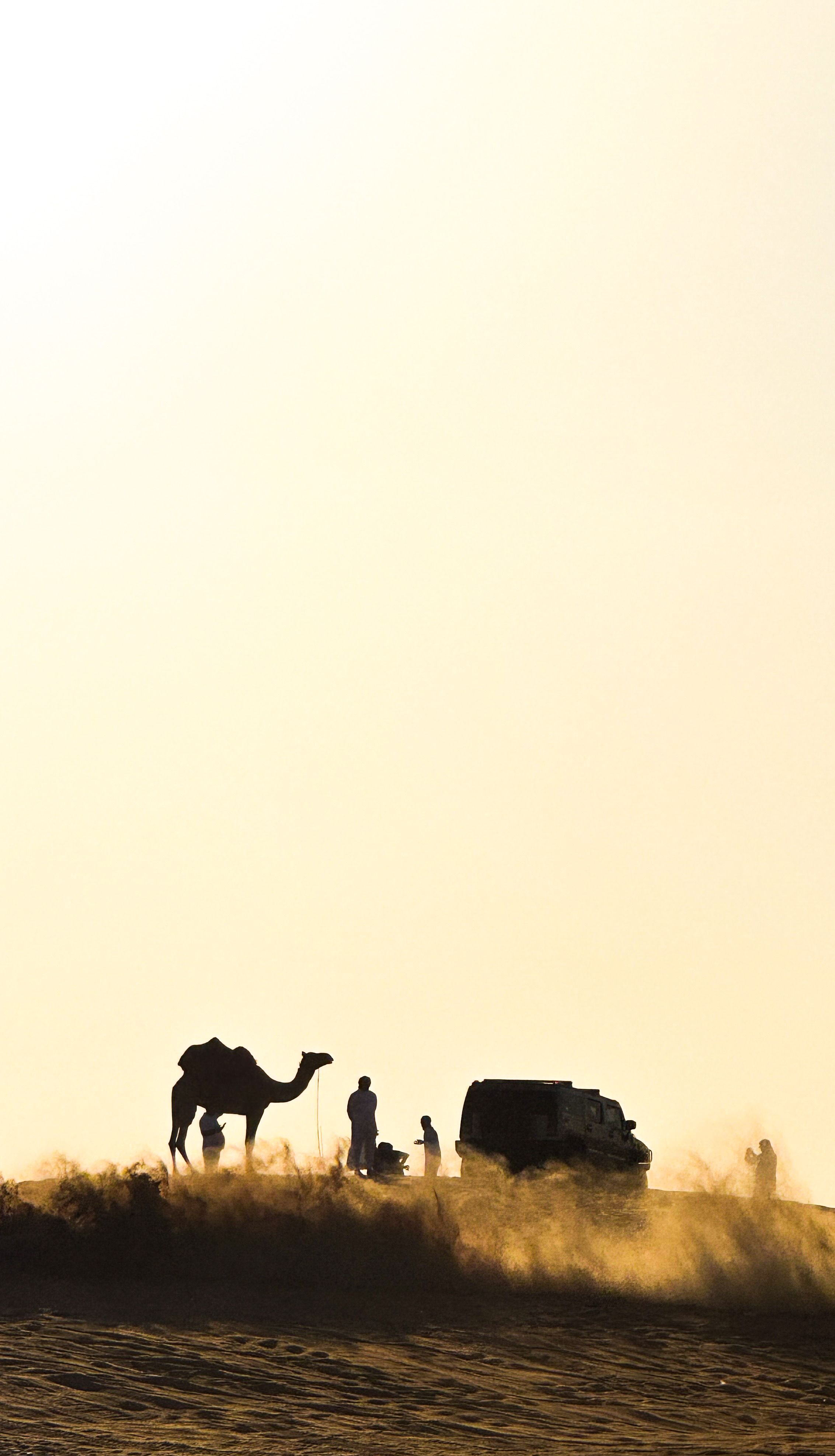Desert safari adventure at golden sunset