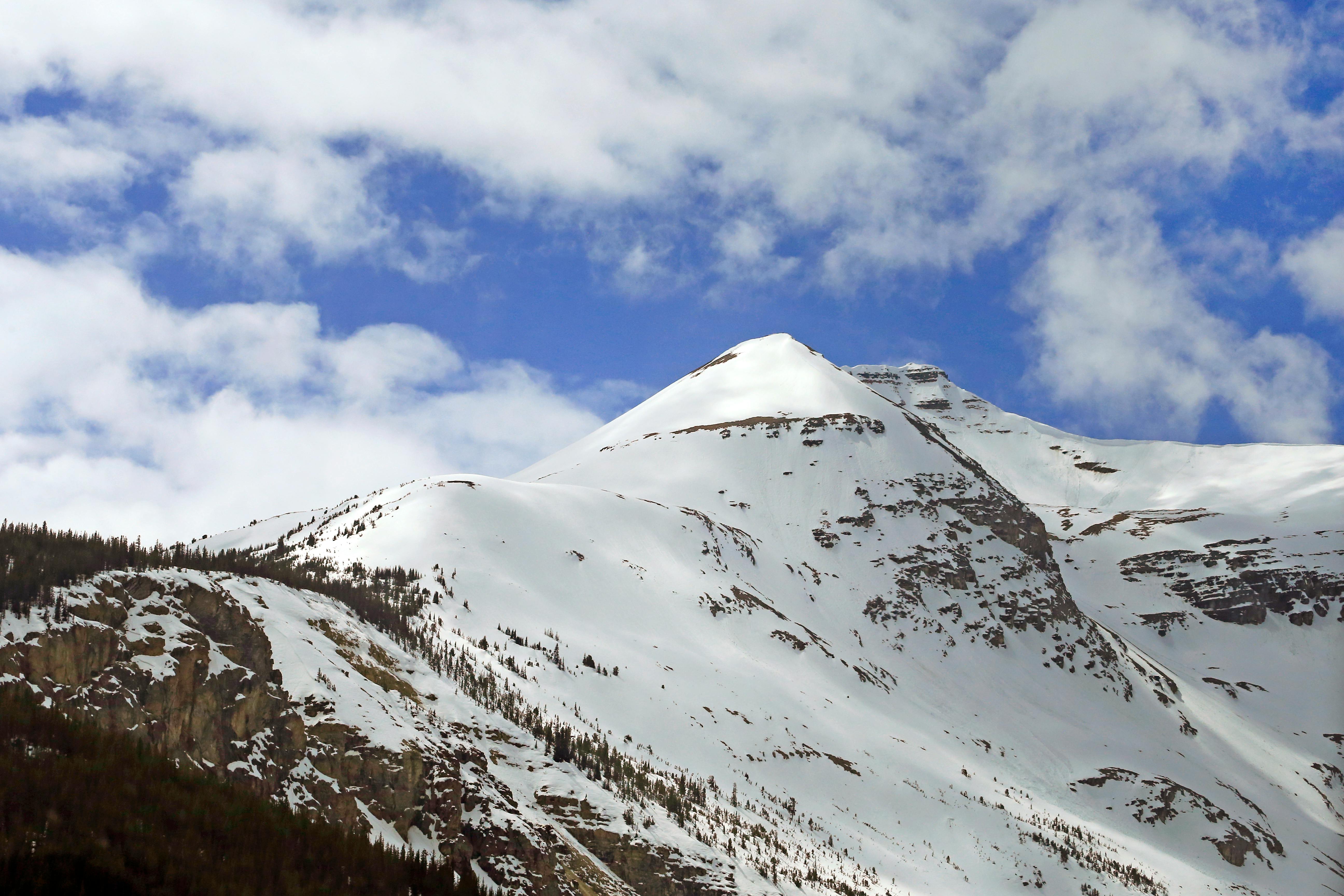 國際：全球多國聚焦氣候變遷峰會，攜手推動永續發展