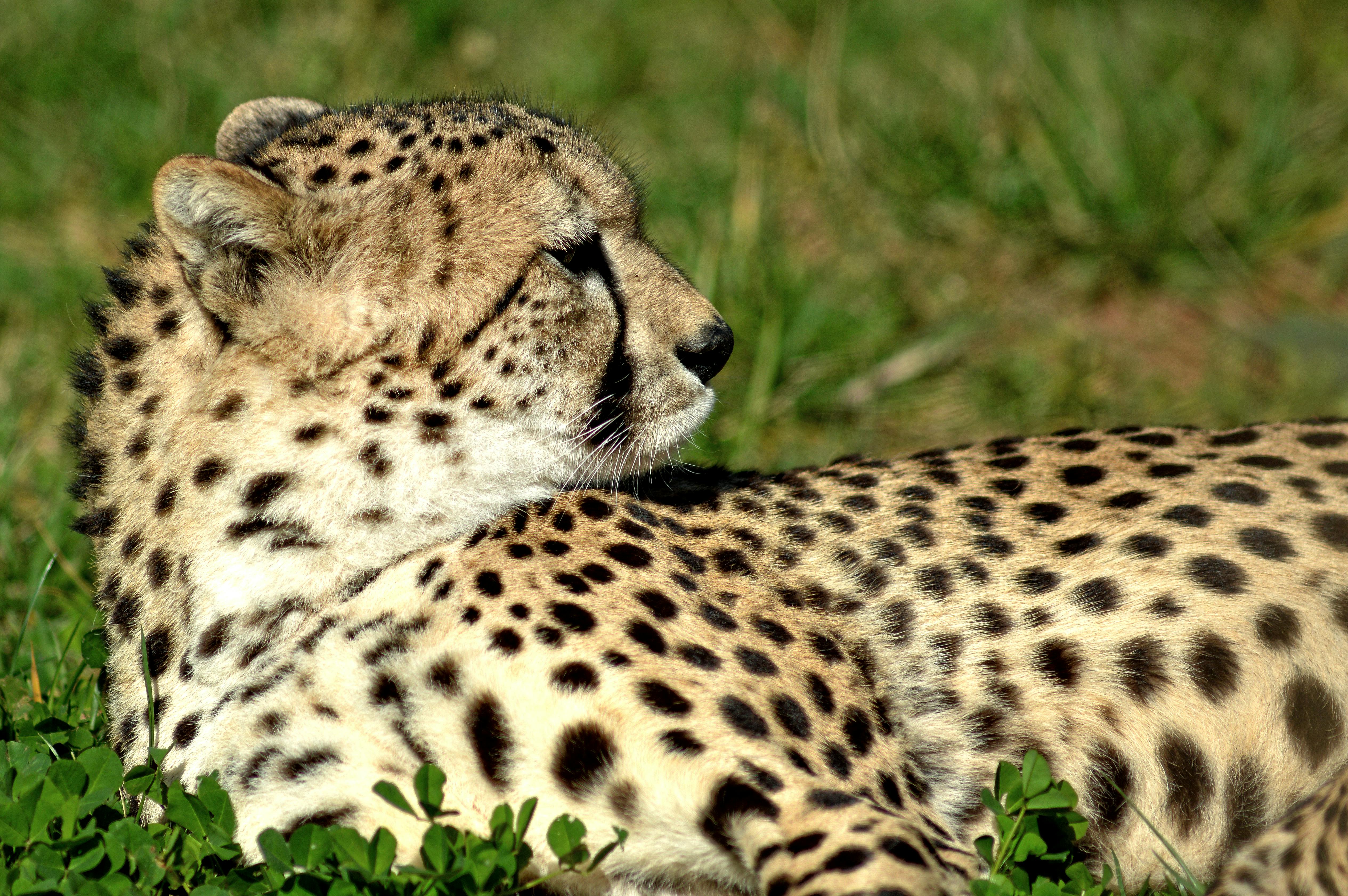 uBlock Origin di iOS Bikin Safari Lebih Cepat dan Bebas Iklan