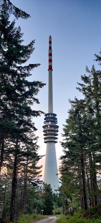 download gambar mancing mania Foto gratuita di foresta foresta nera germania download gambar mancing mania Foto gratuita di foresta foresta nera germania