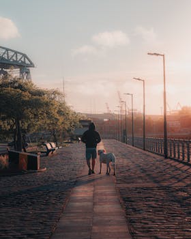 A person walking a dog on a calm waterfront promenade during sunrise, creating a peaceful scene.