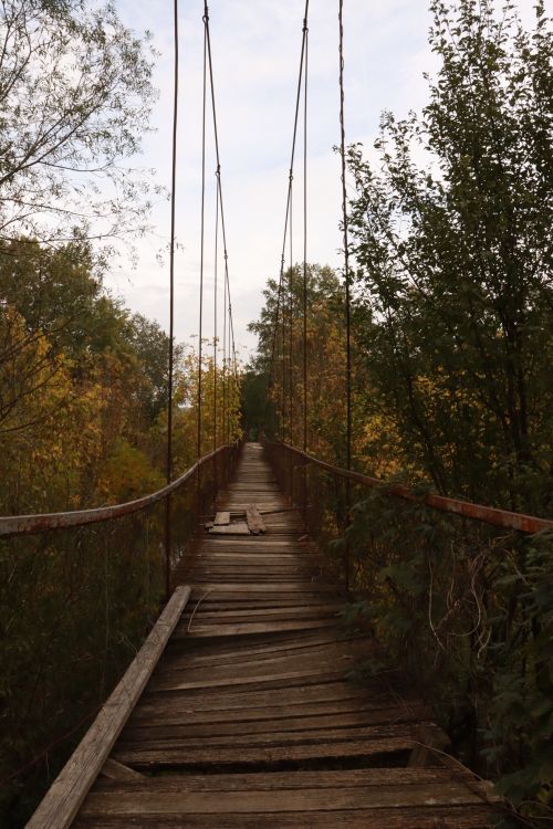 Free A scenic view of an old wooden suspension bridge amidst autumn foliage, perfect for nature enthusiasts. Stock Photo