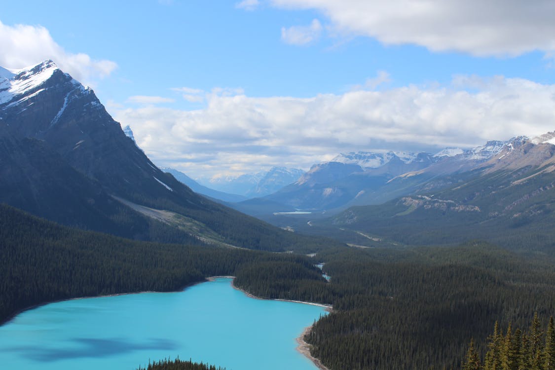 Free Lake in the Middle of Forest Stock Photo