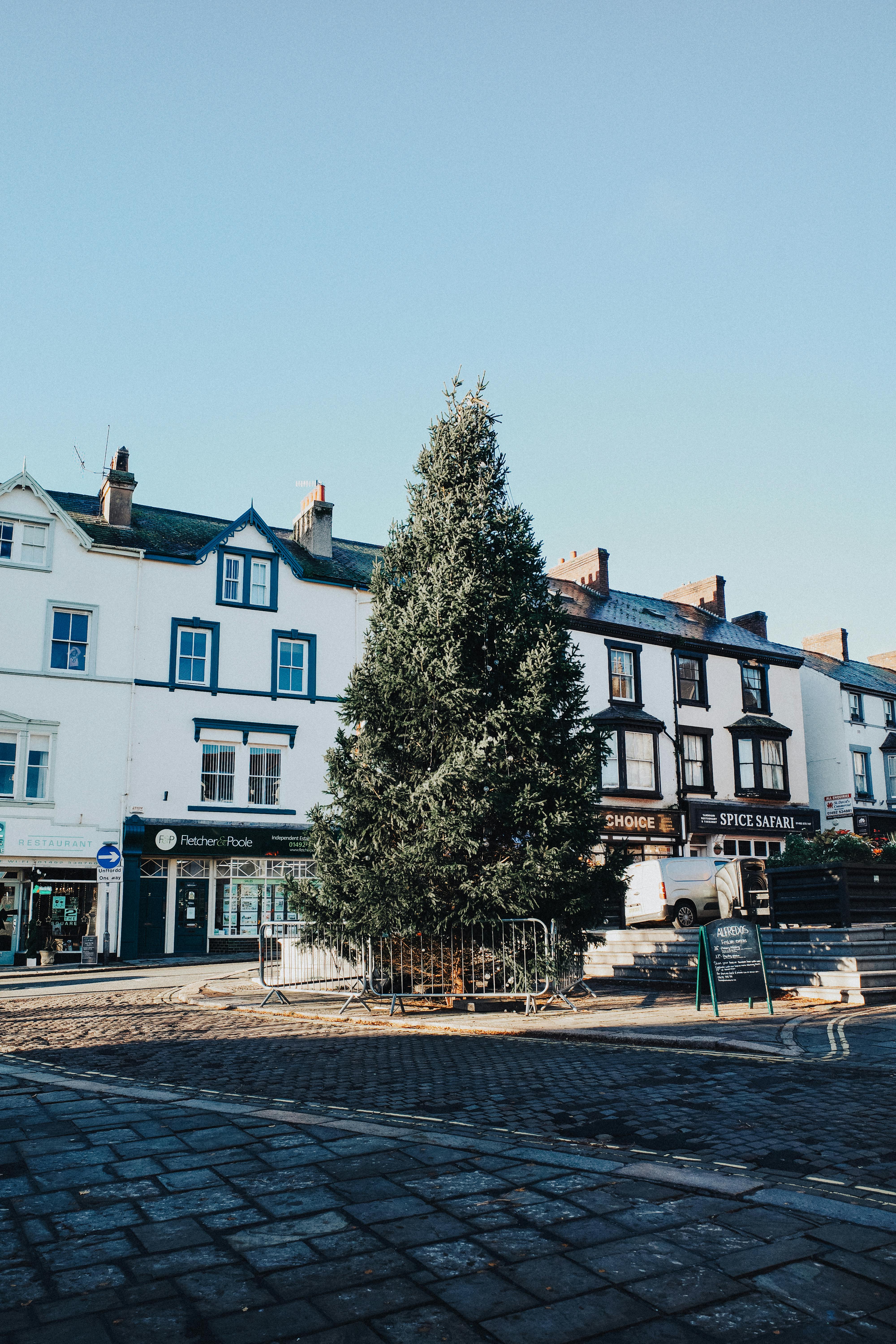 Festive Christmas tree in Conwy's historic town center, Wales.