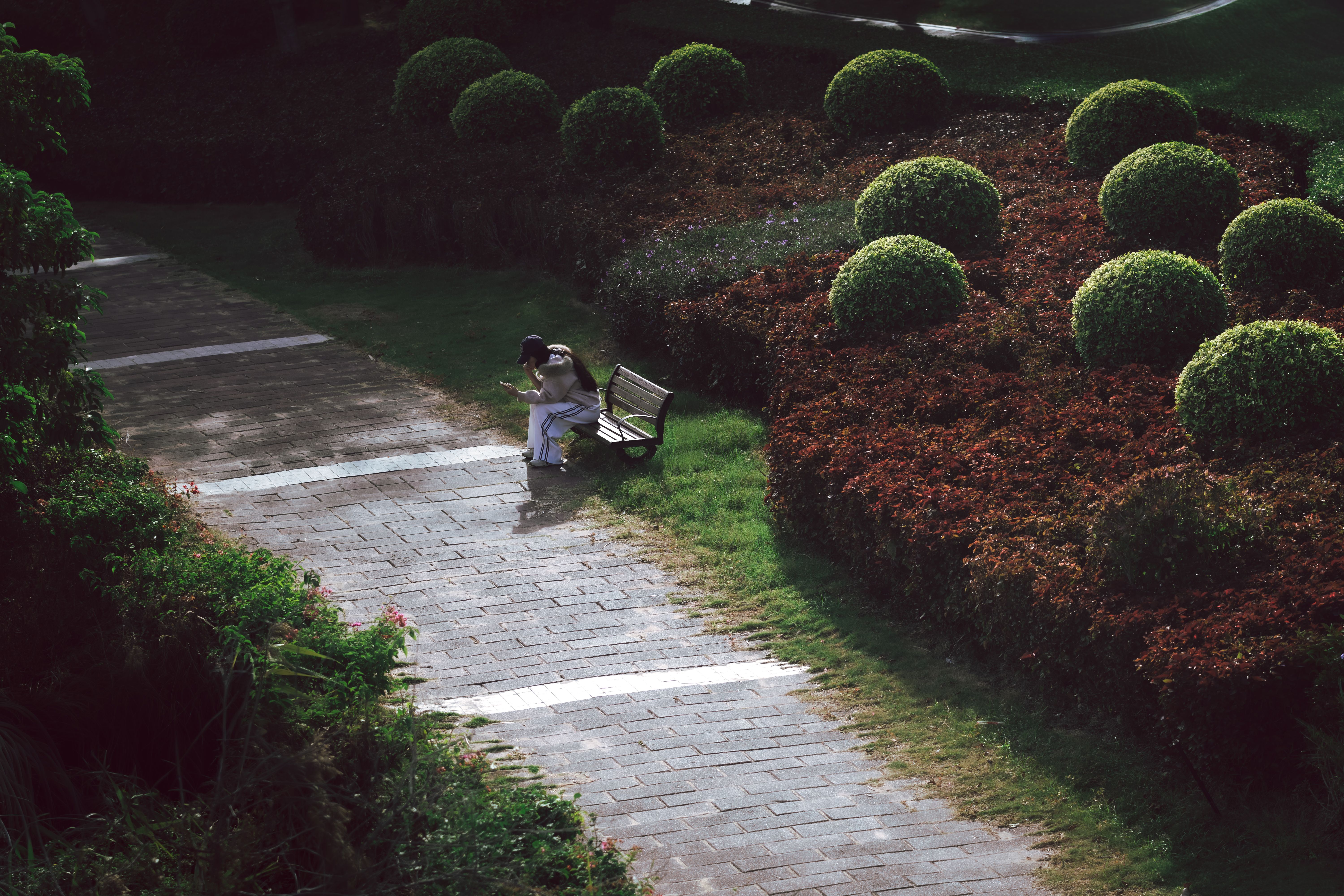 Quiet Japanese garden, person sitting peacefully on a bench, soft light