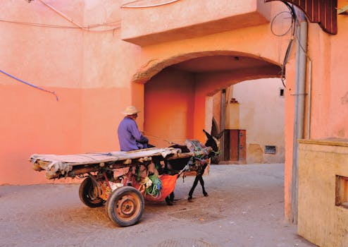 Marrakesh, Morocco photo 12