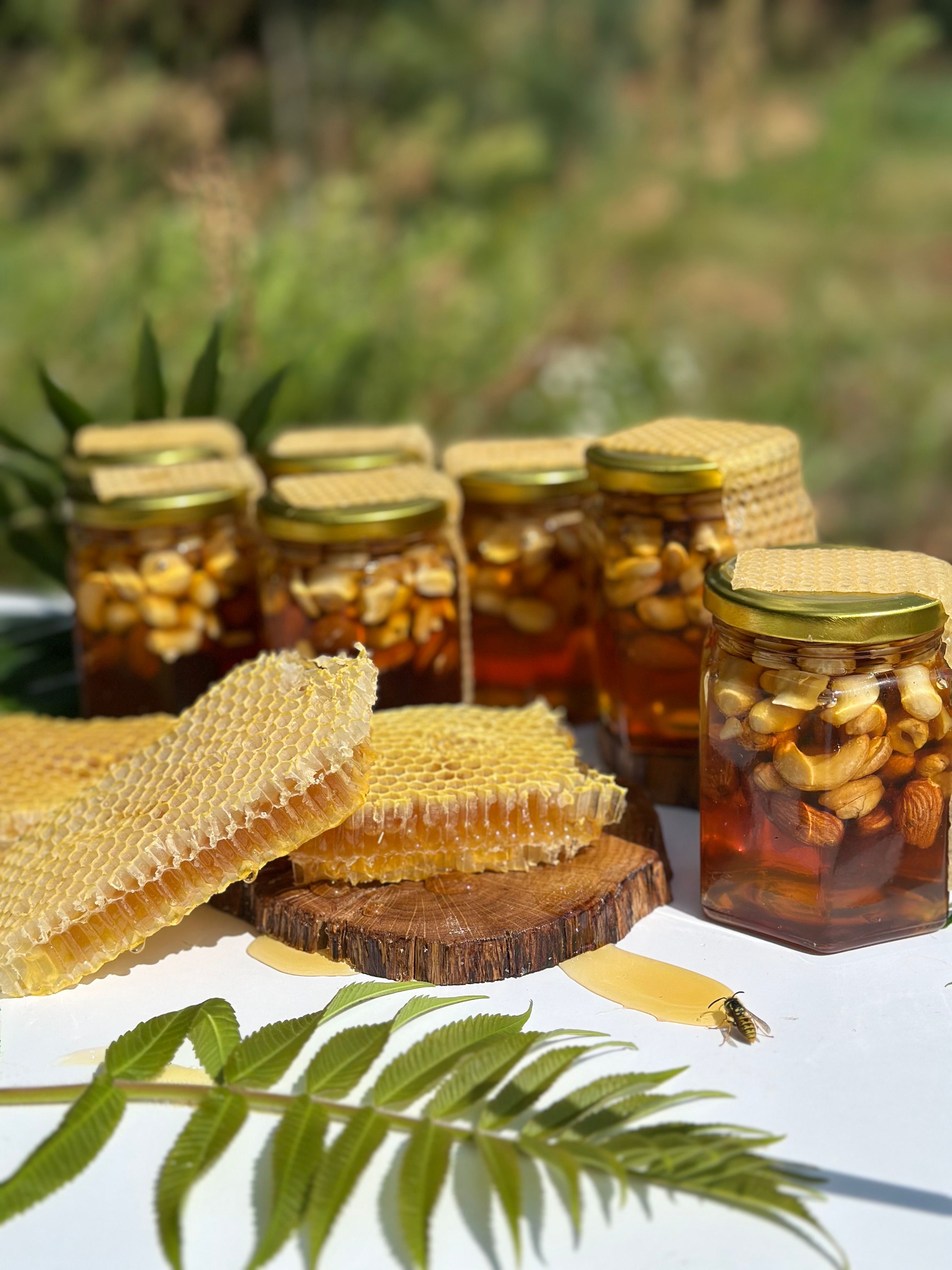 Golden honey jars with almonds and hazelnuts next to fresh honeycomb in a sunny outdoor setting.