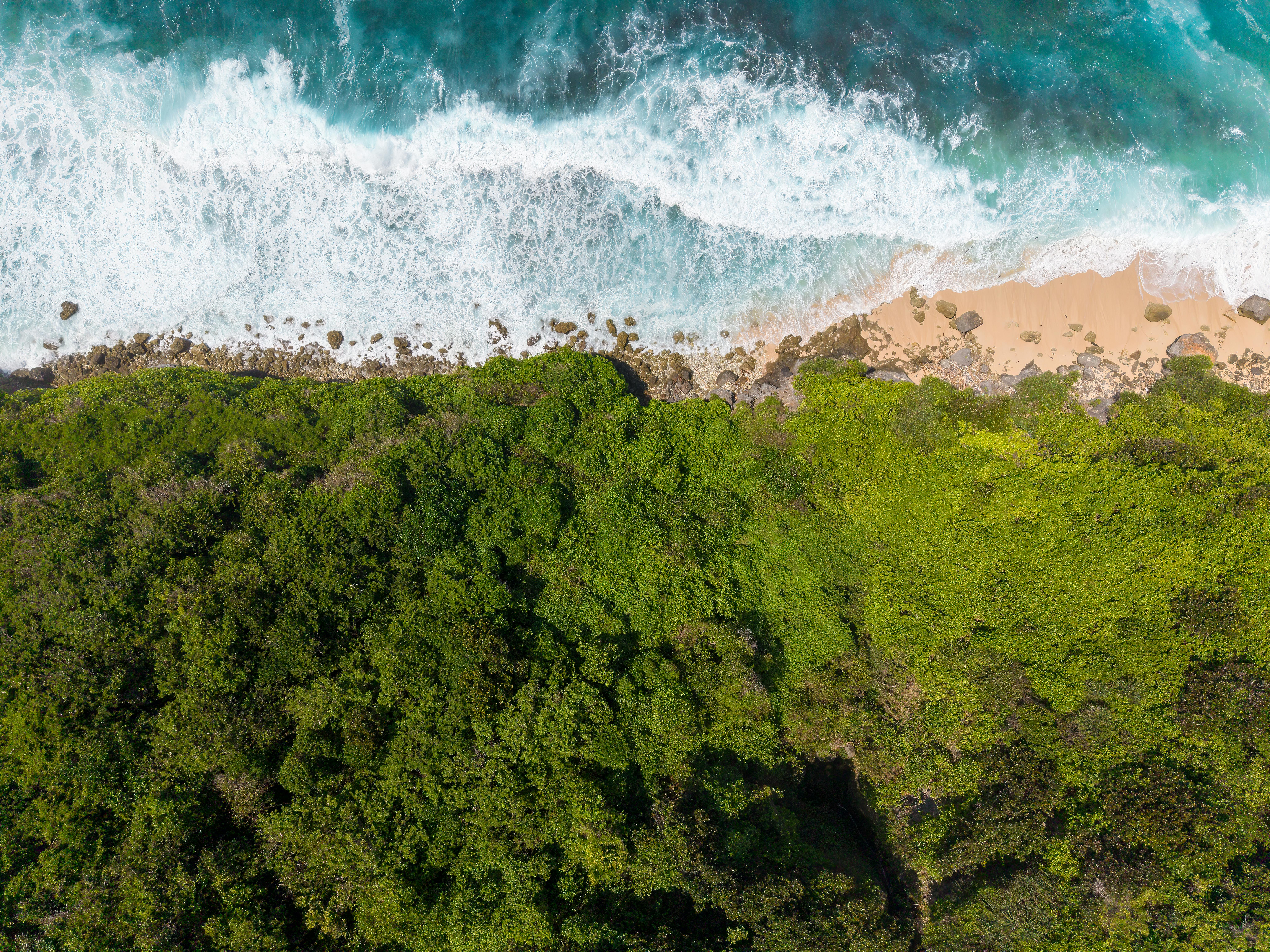 climate resilience, sea level rise, drought mitigation, ecosystem restoration, climate policy, Climate adaptation — Photo by 