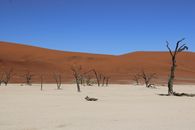 Breathtaking view of the arid Sossusvlei region with dead trees and red dunes in Namibia.