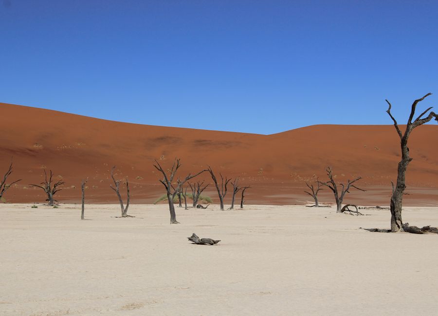 Breathtaking view of the arid Sossusvlei region with dead trees and red dunes in Namibia.