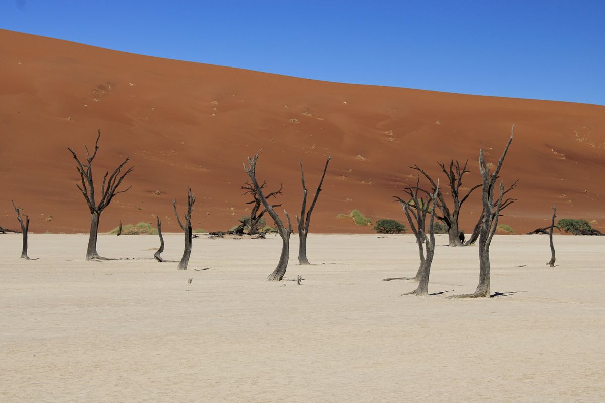 Red dunes of Namibia