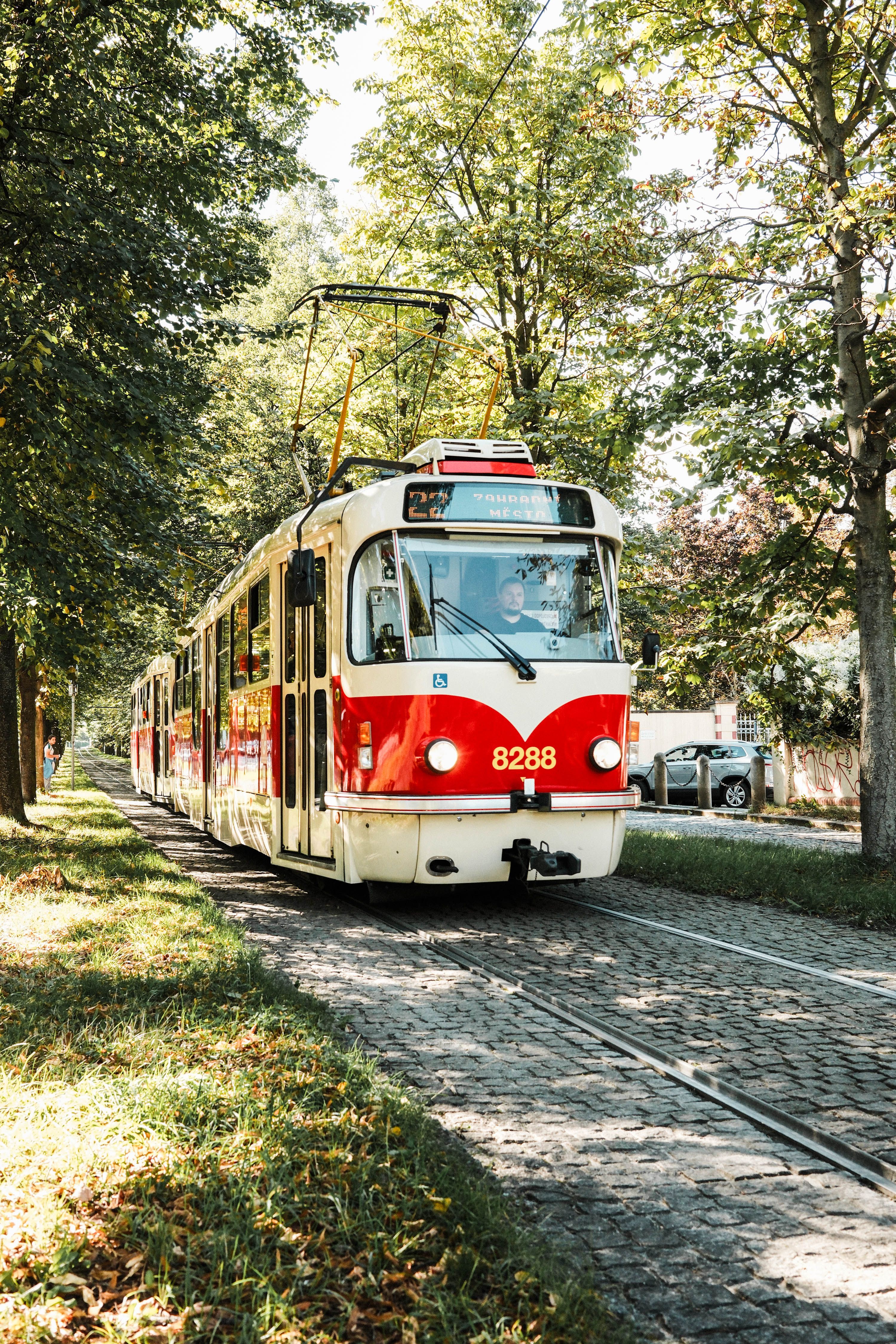 Vintage Prague Tram Through Tree-Lined Street · Free Stock Photo
