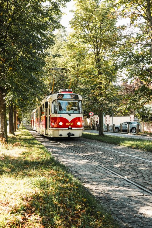 Free Classic red and white tram traversing tree-lined tracks in Prague, Czechia. Stock Photo